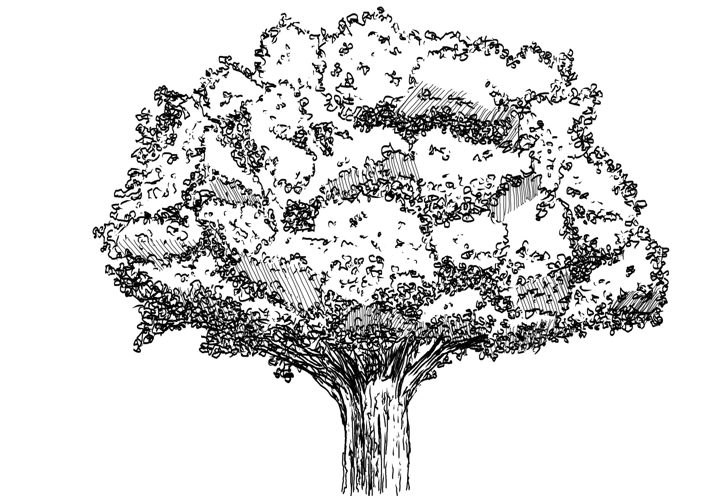 ink drawing of tree